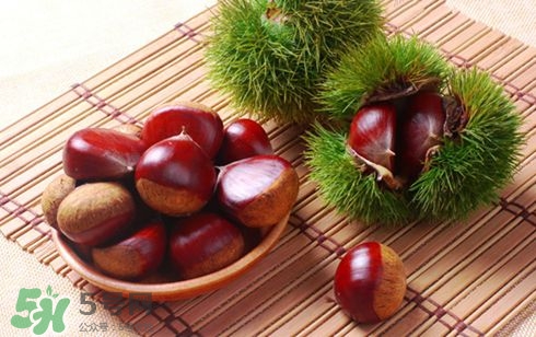 板栗酒能治療腎陽虛嗎？板栗泡酒真的能壯陽嗎？