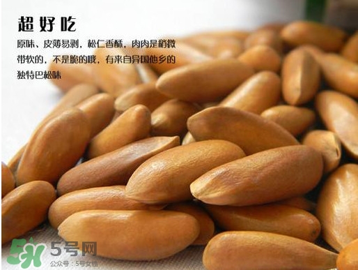 松籽可以生吃嗎？松籽怎么儲藏保存