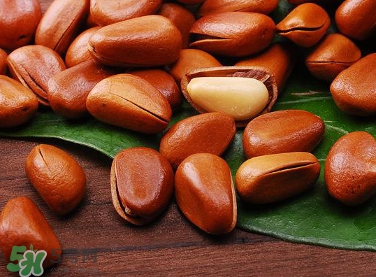 松籽可以生吃嗎？松籽怎么儲藏保存