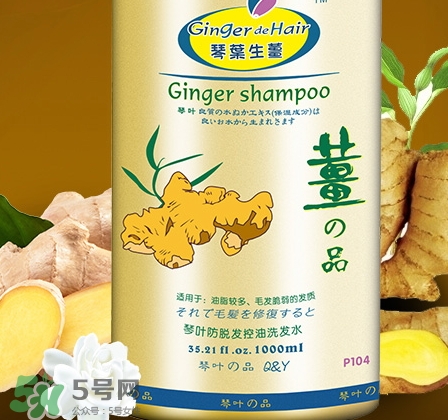 琴葉生姜洗發水好用嗎？琴葉生姜洗發水真假