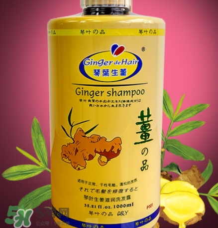琴葉生姜洗發水好用嗎？琴葉生姜洗發水真假