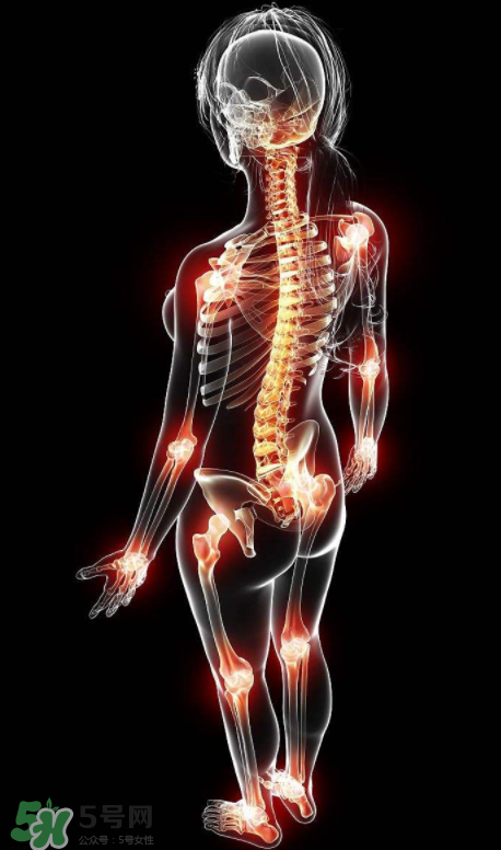 風濕要怎么調理？風濕要吃什么食物調養？