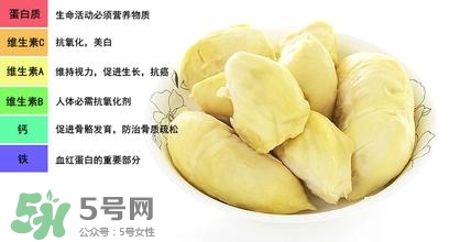 榴蓮可以榨汁嗎？榴蓮可以和什么榨汁？
