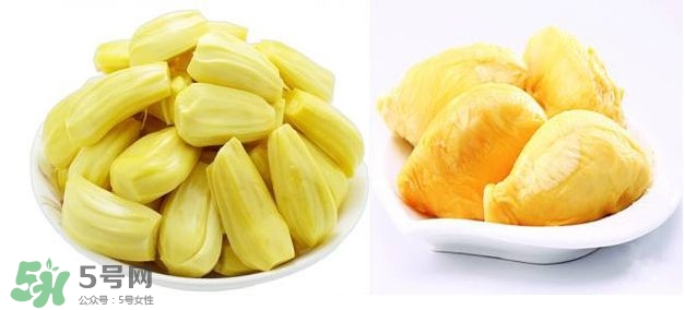榴蓮和菠蘿蜜一樣嗎？榴蓮和菠蘿蜜哪個(gè)營(yíng)養(yǎng)好？
