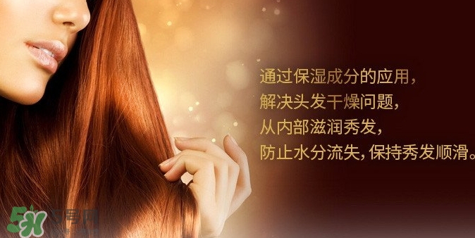 indefinie是什么牌子？indefinie洗發(fā)水怎么樣？