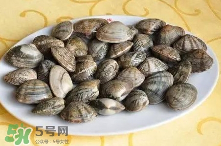 蛤蜊和花甲一樣嗎？蛤蜊和花甲的區別