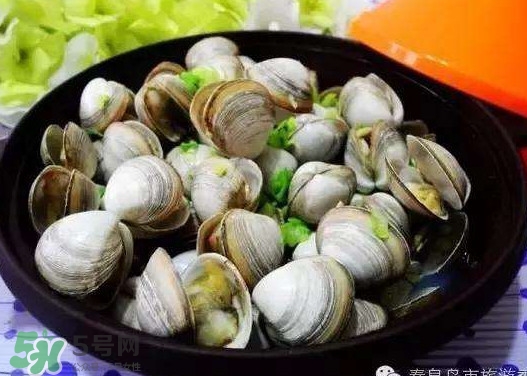 蛤蜊蒸蛋孕婦能吃嗎？蛤蜊蒸蛋寶寶能吃嗎