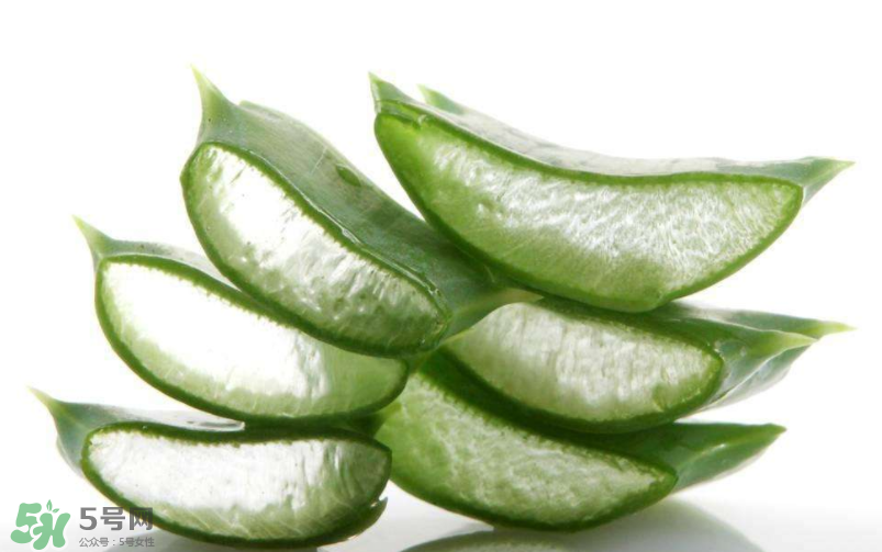 敏感肌能使用蘆薈護膚嗎？蘆薈膠有什么用？