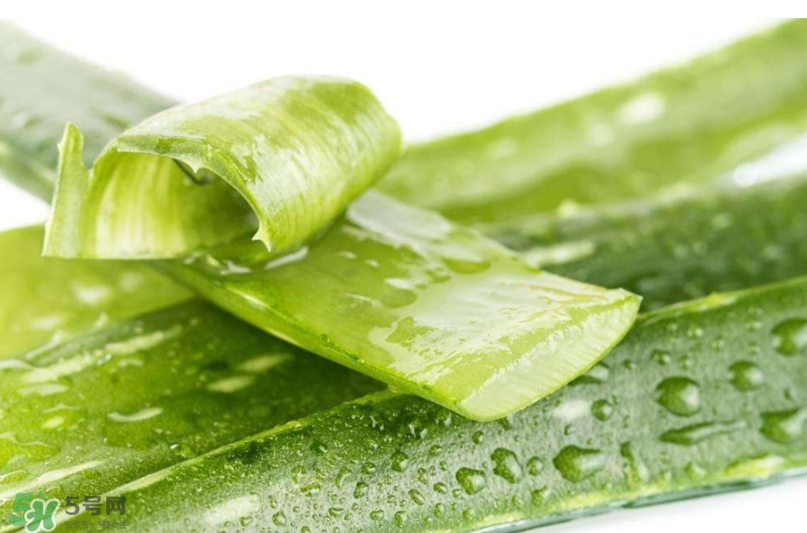 敏感肌能使用蘆薈護膚嗎？蘆薈膠有什么用？