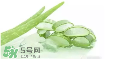 蘆薈怎么吃？蘆薈番茄湯的做法 