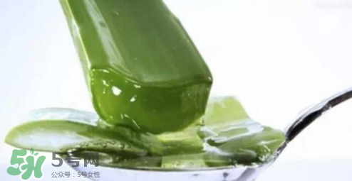 蘆薈怎么吃？蘆薈番茄湯的做法 