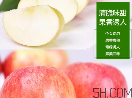 美八蘋果價格多少錢？美八蘋果多少錢一斤？