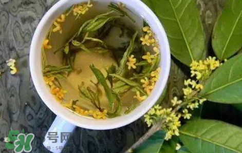 桂花茶怎么泡好喝？桂花茶怎么制作？