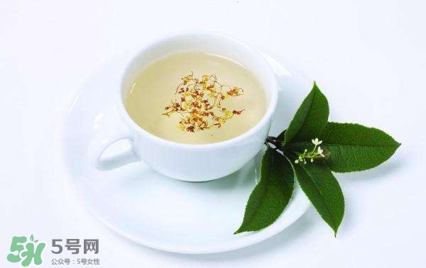 桂花茶怎么泡？桂花茶泡水喝的禁忌 