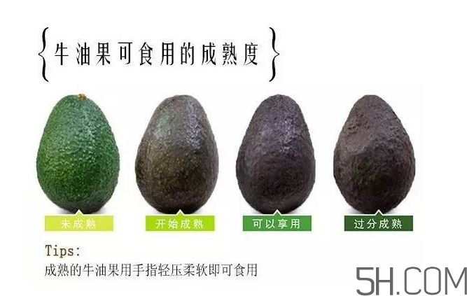 牛油果和香蕉一起能多吃嗎？牛油果挑什么樣的好？