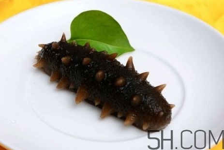 海參是高蛋白食物嗎？海參是素食嗎？