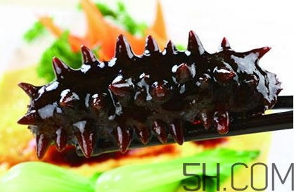 海參是高蛋白食物嗎？海參是素食嗎？