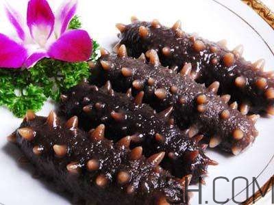 海參是高蛋白食物嗎？海參是素食嗎？