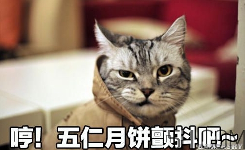 十仁月餅是哪十仁？十仁月餅好吃嗎