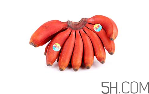 紅香蕉和普通香蕉的區別？香蕉可以放冰箱冷凍嗎？