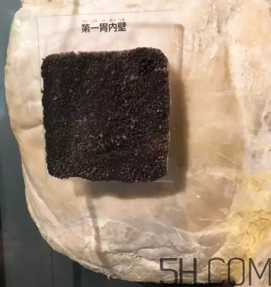 牛百葉和毛肚是一個東西嗎？牛百葉上面有層黑皮能吃嗎？