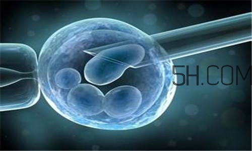 人工授精取卵子怎么??？人工授精男人怎樣取精？