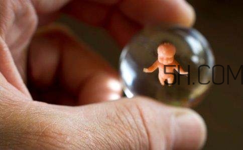 人工授精取卵子怎么?。咳斯な诰腥嗽鯓尤【?？