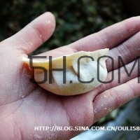 餃子和面用熱水還是冷水？餃子和面要醒多長時間？