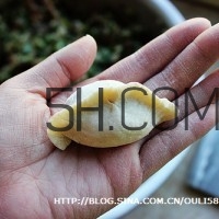 餃子和面用熱水還是冷水？餃子和面要醒多長時間？