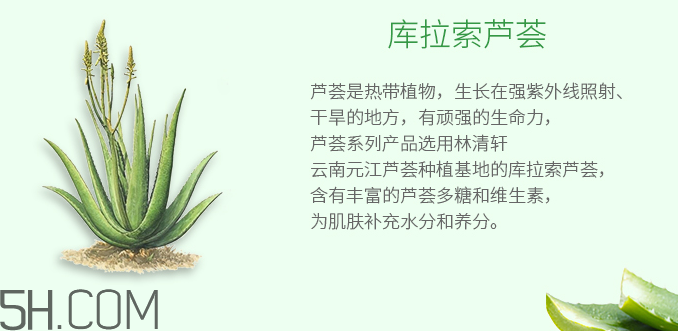 林清軒蘆薈面膜泥怎么樣？林清軒蘆薈面膜泥測(cè)評(píng)