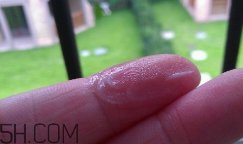 百雀羚乳液多少錢一瓶？百雀羚乳液專柜價格