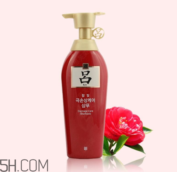 紅呂洗發水怎么樣？紅呂洗發水多少錢？