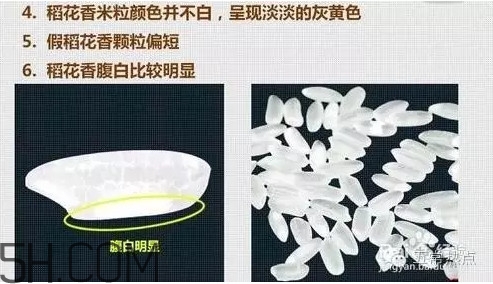 五常大米怎么辨別真假？五常大米和普通米的區(qū)別