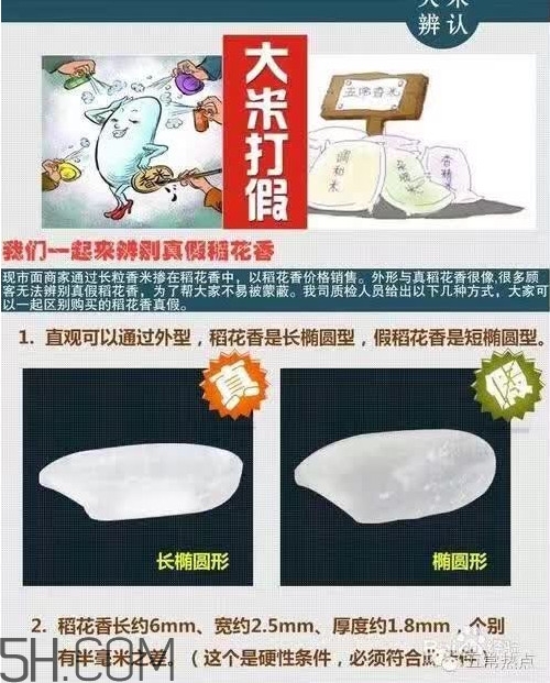 五常大米怎么辨別真假？五常大米和普通米的區(qū)別