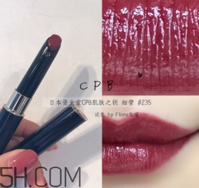 豬肝色口紅哪個牌子好？豬肝色口紅推薦