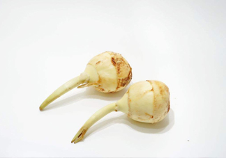 慈菇是發物嗎？慈菇是馬蹄嗎