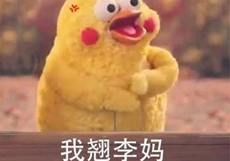 翹李媽什么意思？我翹李媽表情包