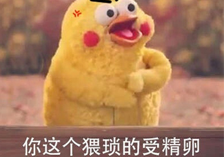 你這個猥瑣的受精卵是什么意思？你這個猥瑣的受精卵表情包