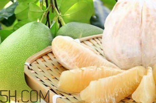 文旦柚多少錢一斤？文旦柚是寒性食物嗎
