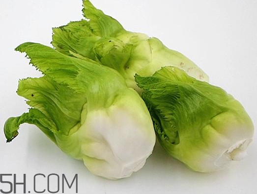 兒菜為什么叫兒菜？兒菜什么季節吃的