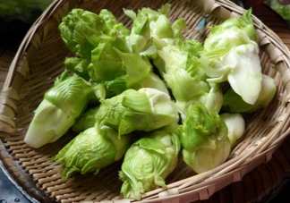兒菜為什么叫兒菜？兒菜什么季節吃的