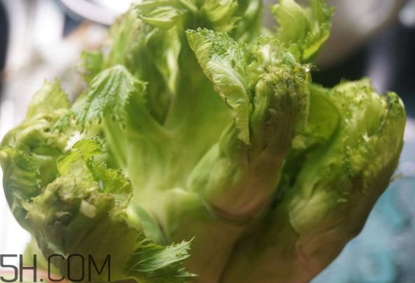 兒菜為什么叫兒菜？兒菜什么季節吃的