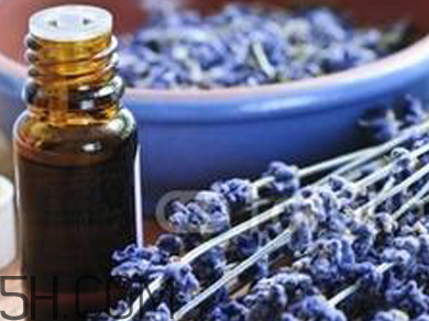 如何用精油護發？薰衣草精油護發怎么用？