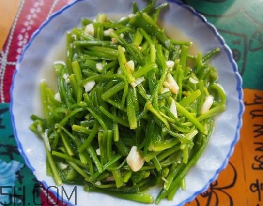 麗江水性楊花是什么菜？水性楊花菜怎么做？