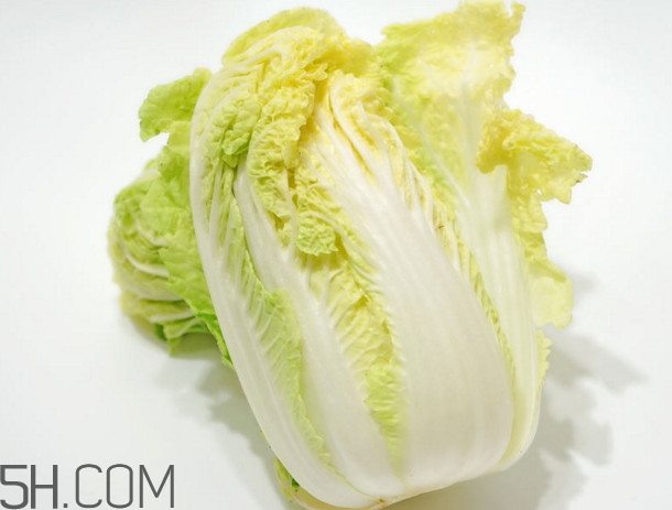 大白菜起源是哪里？大白菜產(chǎn)地分布有哪些