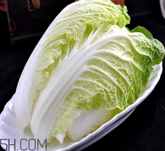 大白菜起源是哪里？大白菜產(chǎn)地分布有哪些