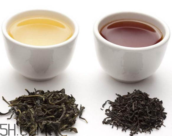 烏龍茶是什么茶？烏龍茶是紅茶還是綠茶