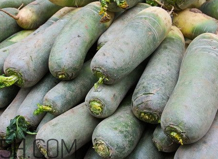 青蘿卜是發物嗎 青蘿卜是辛辣食物嗎