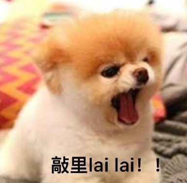 敲里lailai是什么意思？敲里lailai表情包無(wú)水印