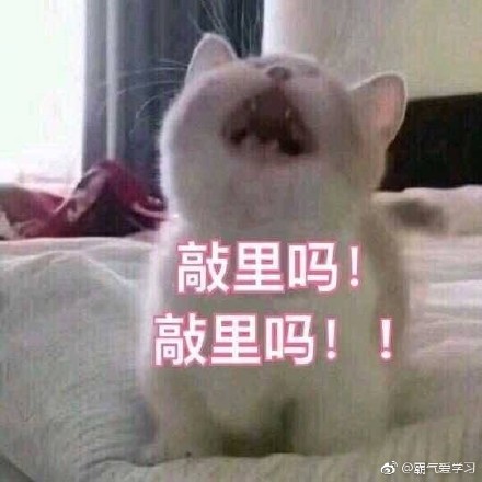 敲里lailai是什么意思？敲里lailai表情包無(wú)水印